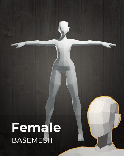 Female Basemesh for sculpting - UPDATED! preview image